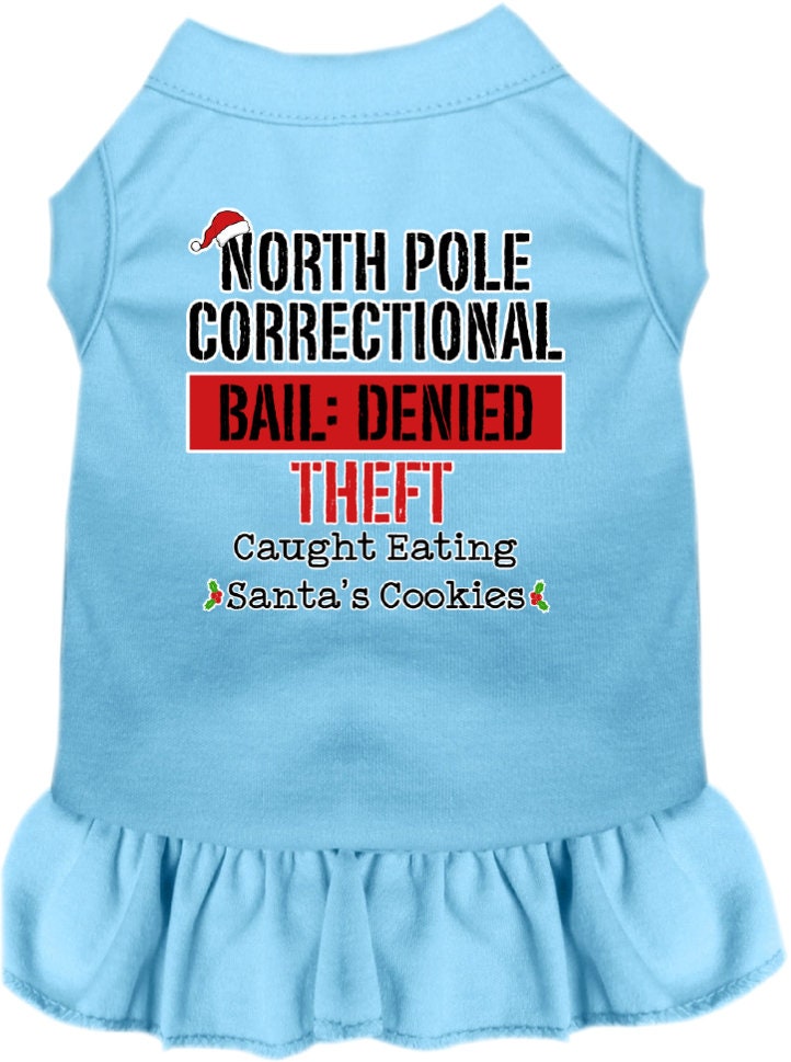As You Wish Apparel – "North Pole Correctional" Christmas Pet Dress