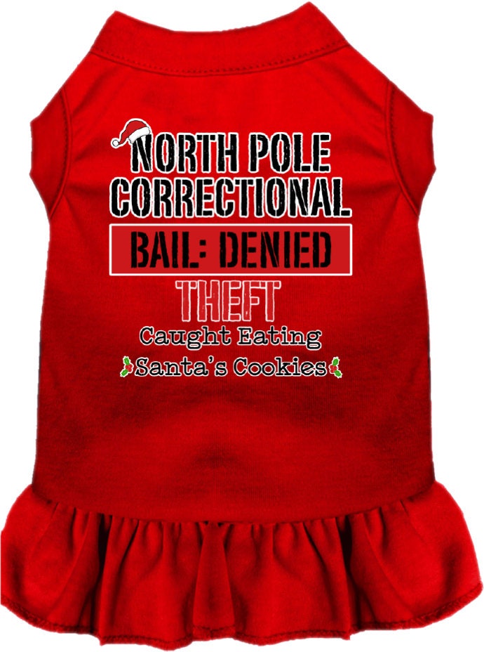 As You Wish Apparel – "North Pole Correctional" Christmas Pet Dress