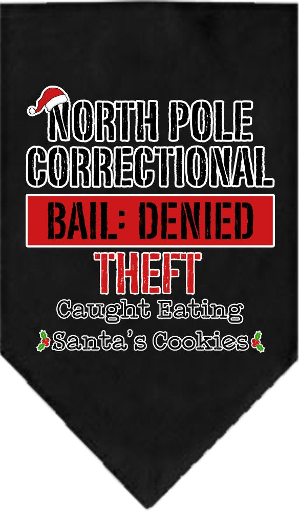 As You Wish Apparel – "North Pole Correctional" Christmas Pet Bandana