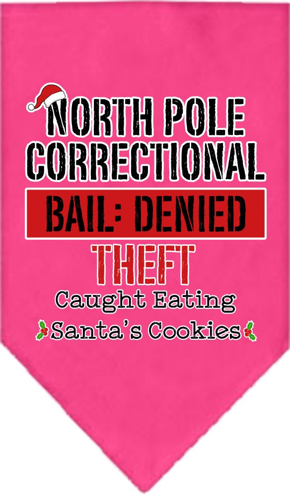 As You Wish Apparel – "North Pole Correctional" Christmas Pet Bandana