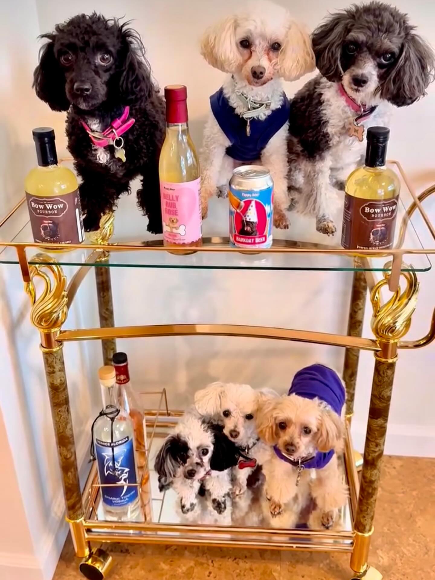 The Dog Liquor Bundle