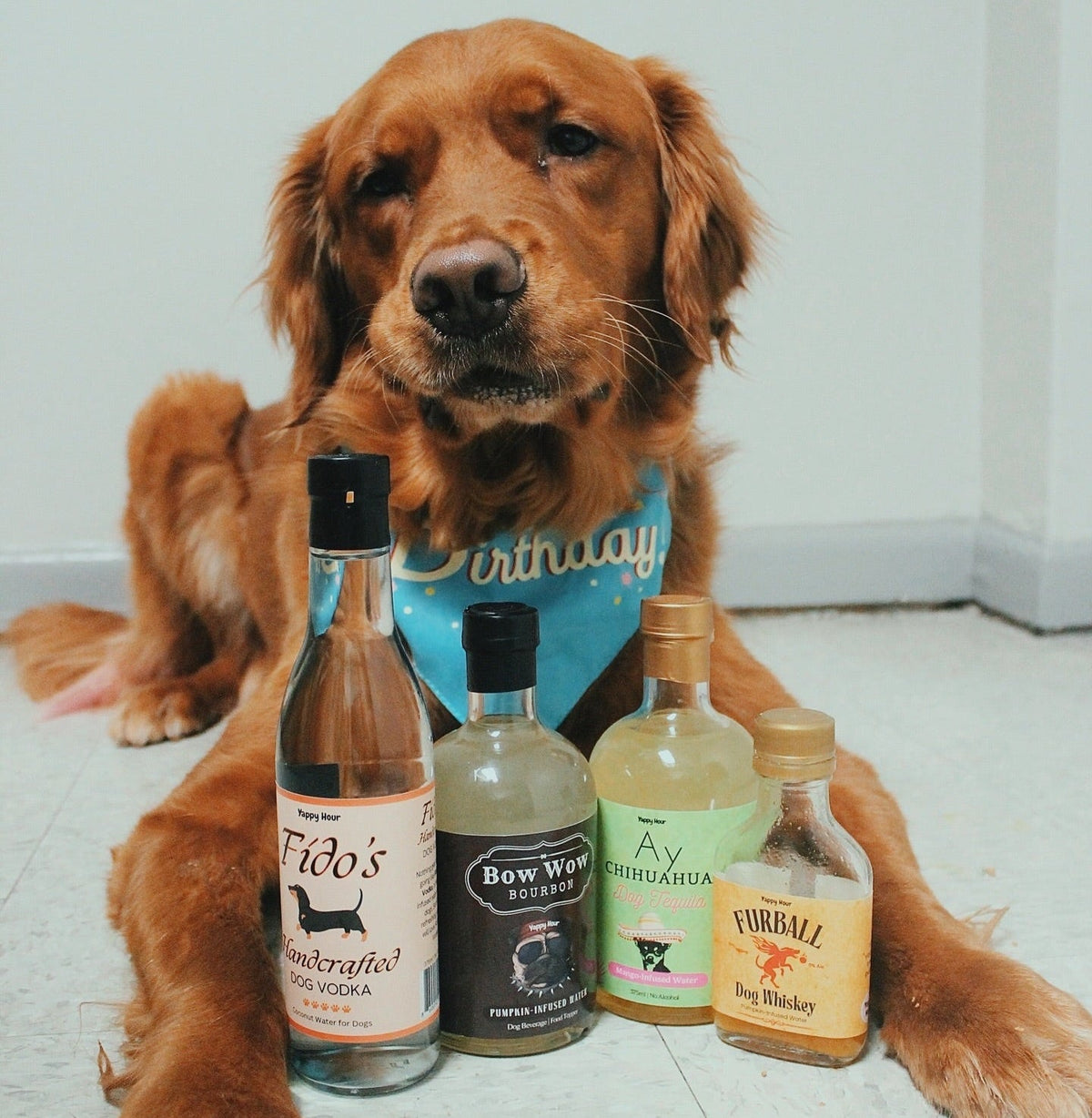 Fidos Handcrafted Dog Vodka | HT Animal Supply