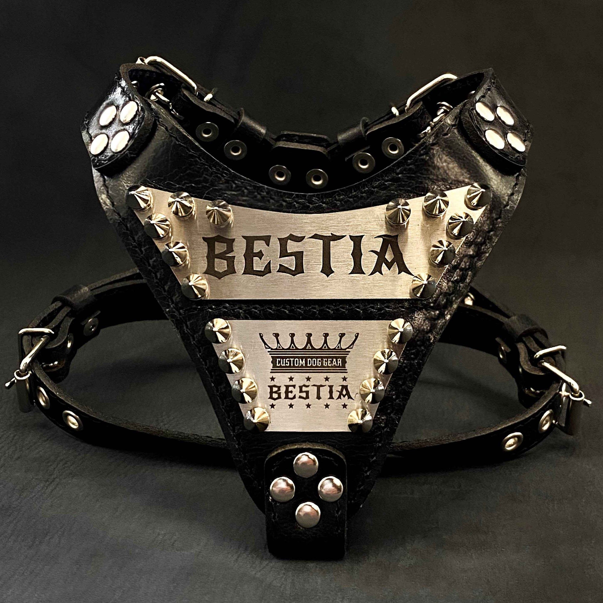 Bestia Metal Personalized Leather Small to Medium Dog Harness