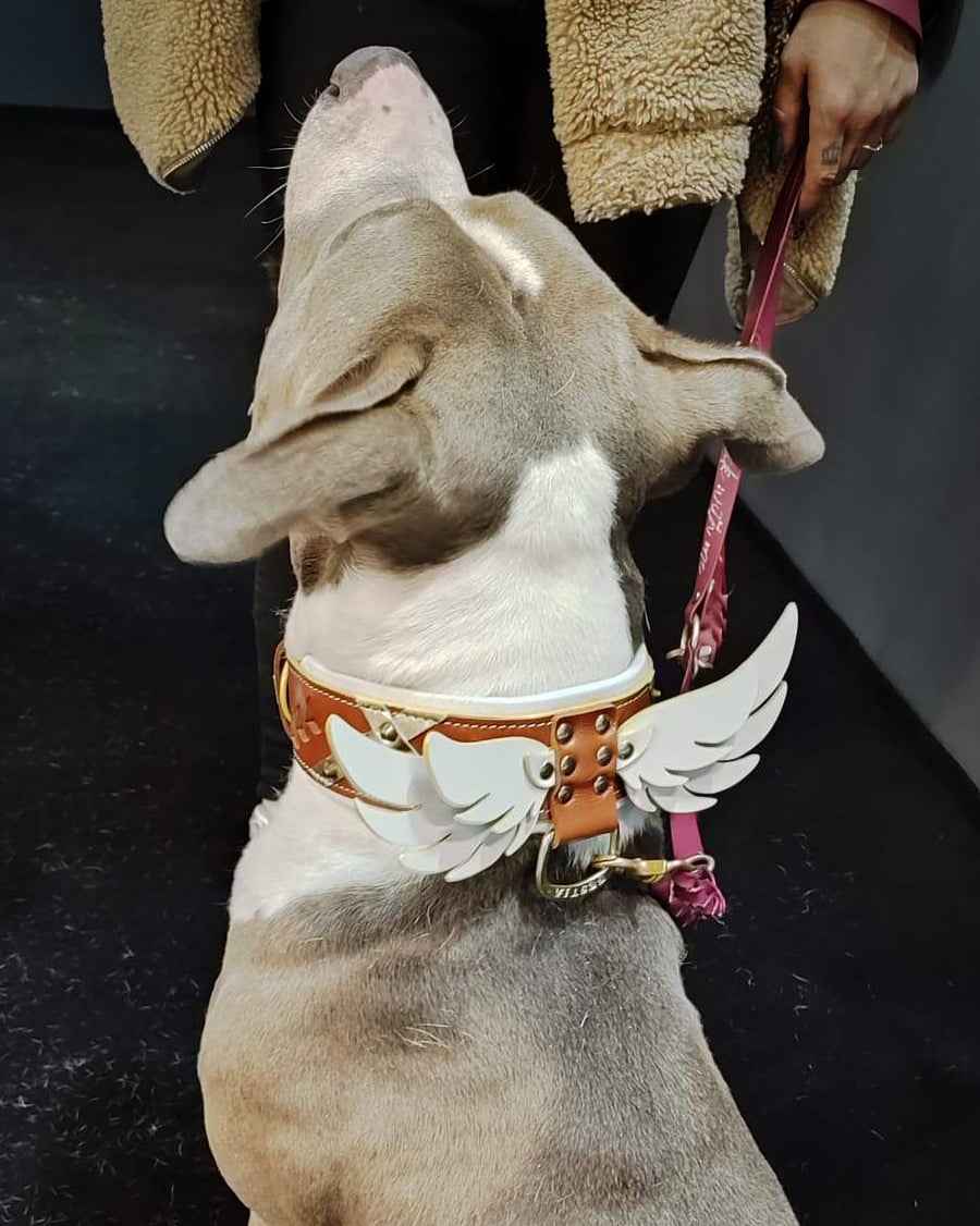 Bestia Hermes Leather Dog Collar