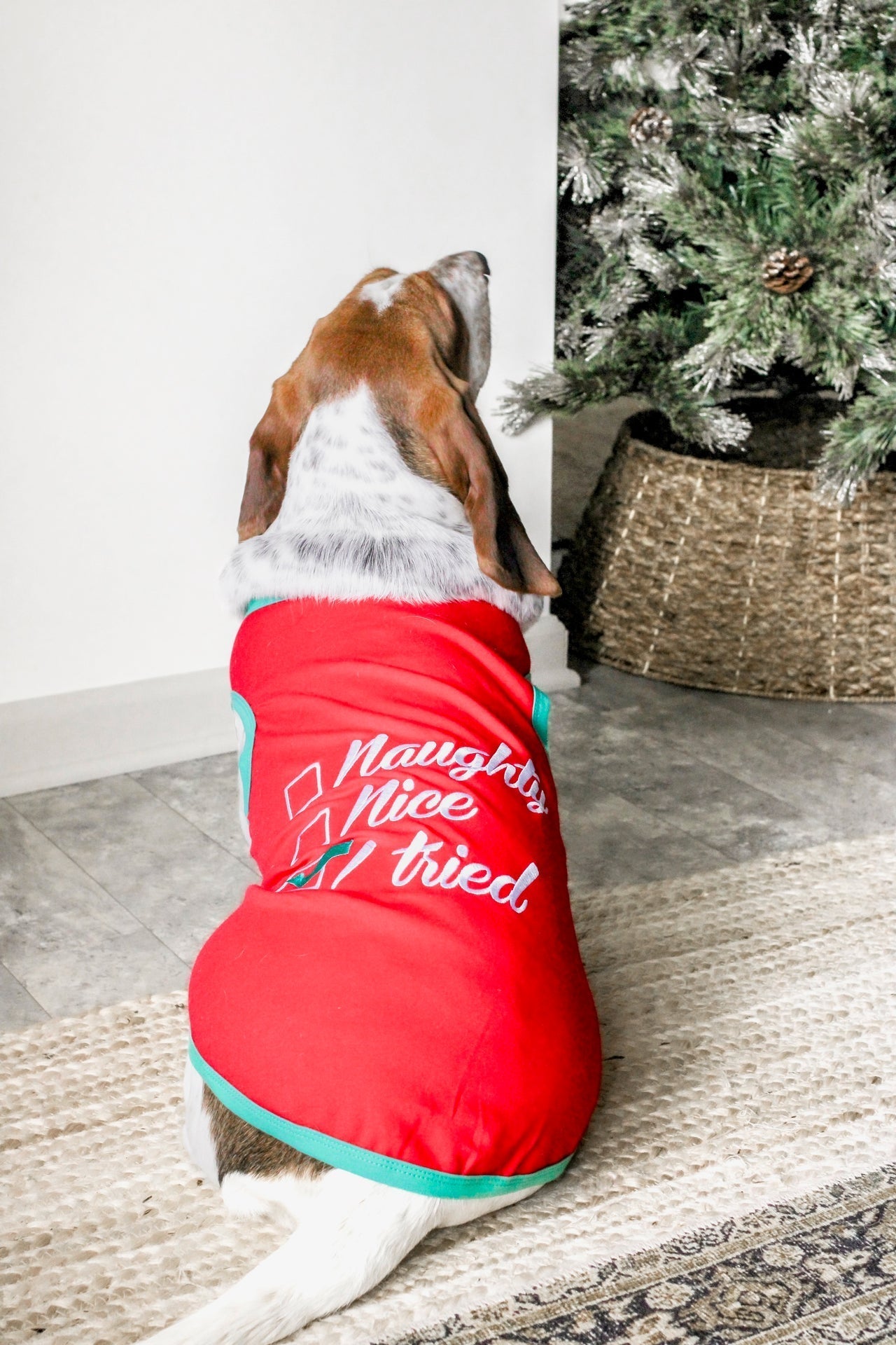 Parisian Pet Naughty or Nice Dog Christmas T-Shirt - Festive Pet Holiday Shirt for Dogs & Cats, Red