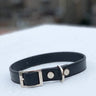 The Taylor Collar - Black Leather