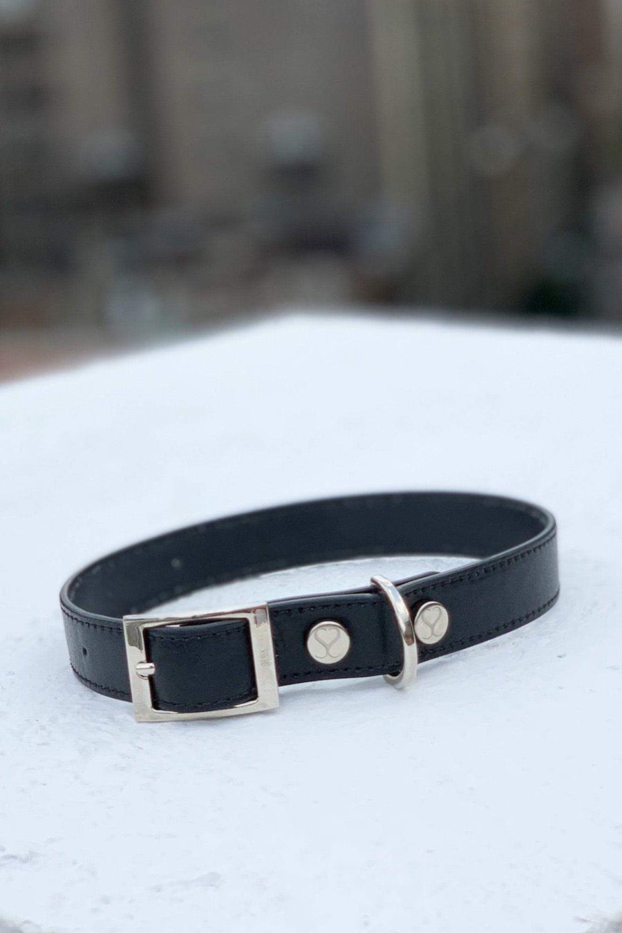 The Taylor Collar - Black Leather 
