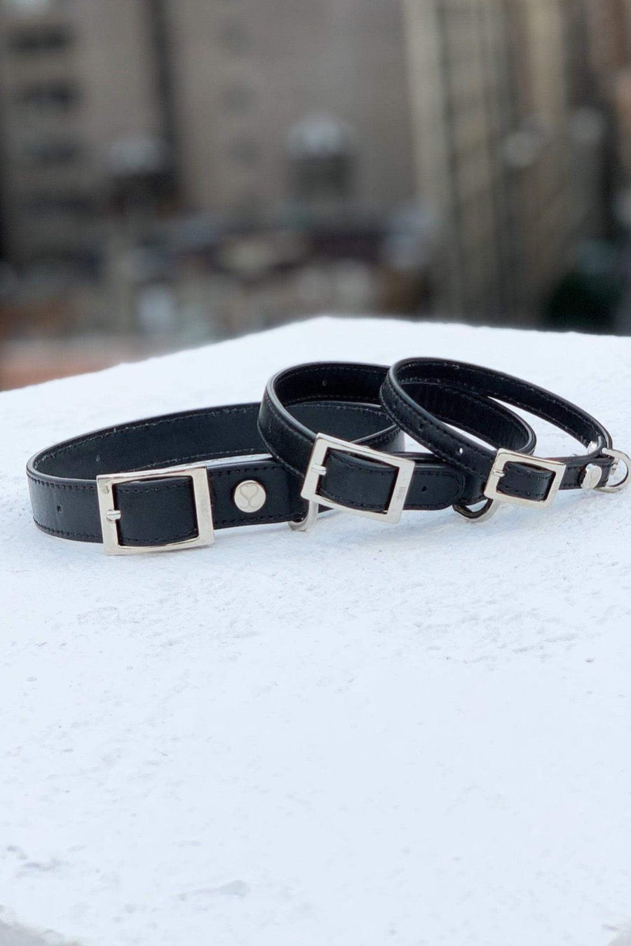 The Taylor Collar - Black Leather