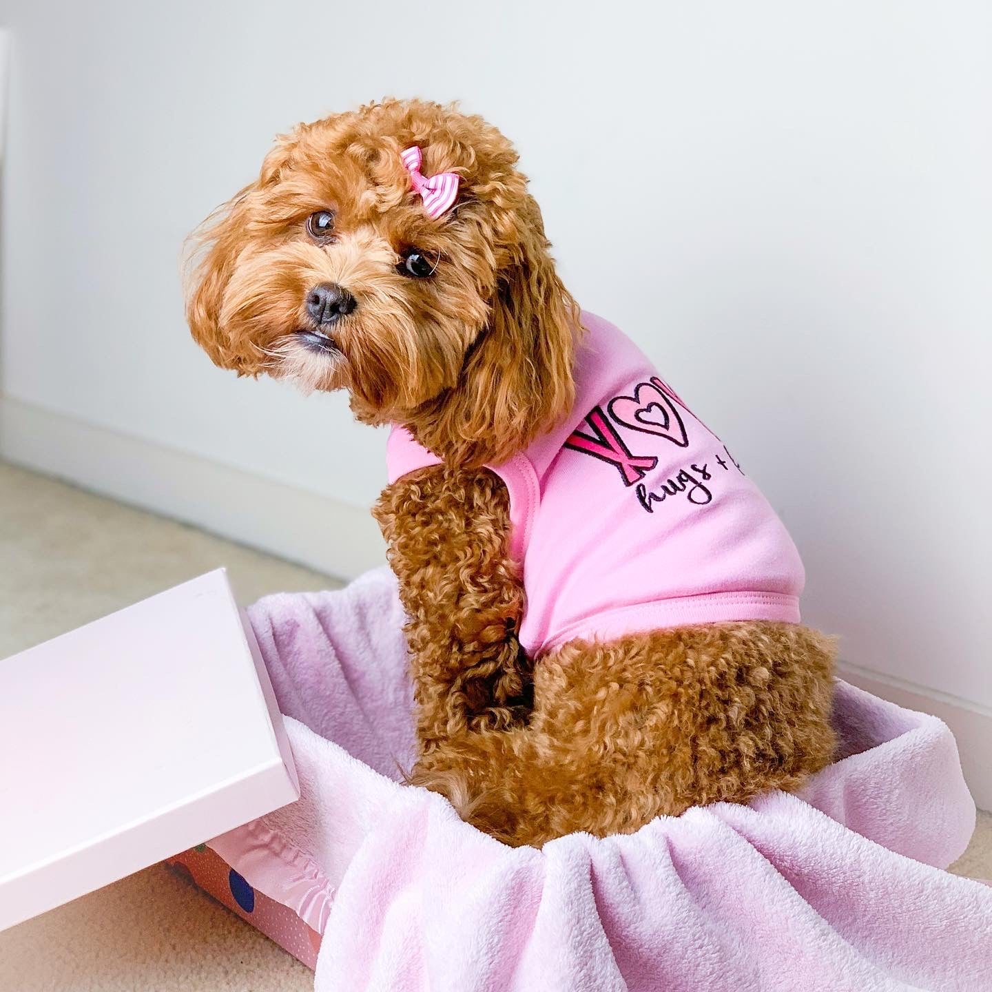 Parisian Pet XOXO Soft Cotton Slogan Dog T-Shirt  Trendy and Comfortable Outfit for Small Dogs & Cats, Pink-Valentines Day