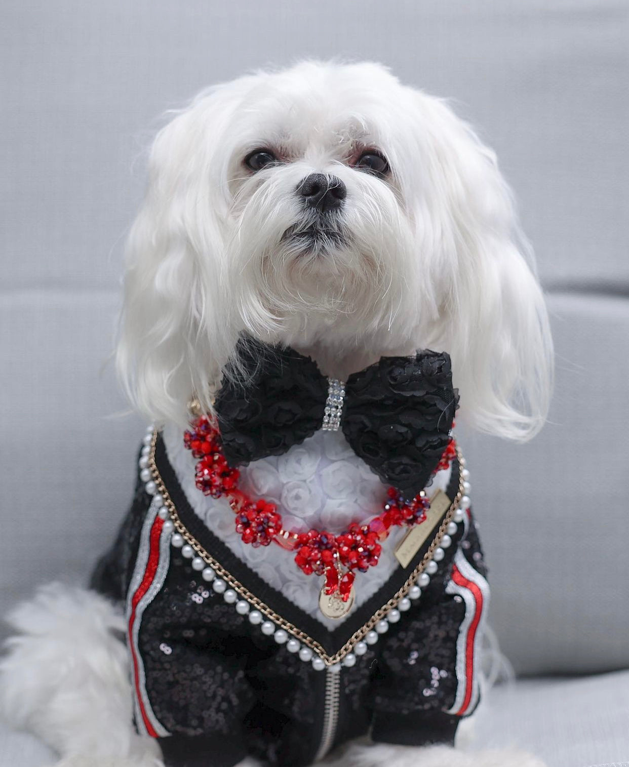 Forever Bliss: Bliss