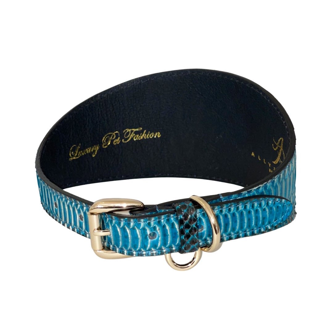 Turquoise/Black Snake