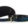 Blue, Green, Black, Yellow Snake 3” Wide Style Collar