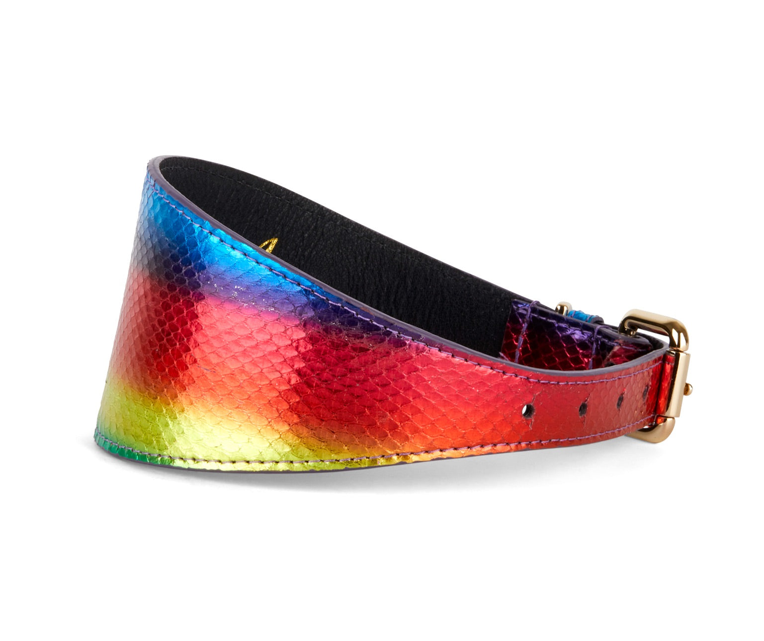 Allysa Payne Rainbow Snake 3-Inch Wide Style Dog Collar