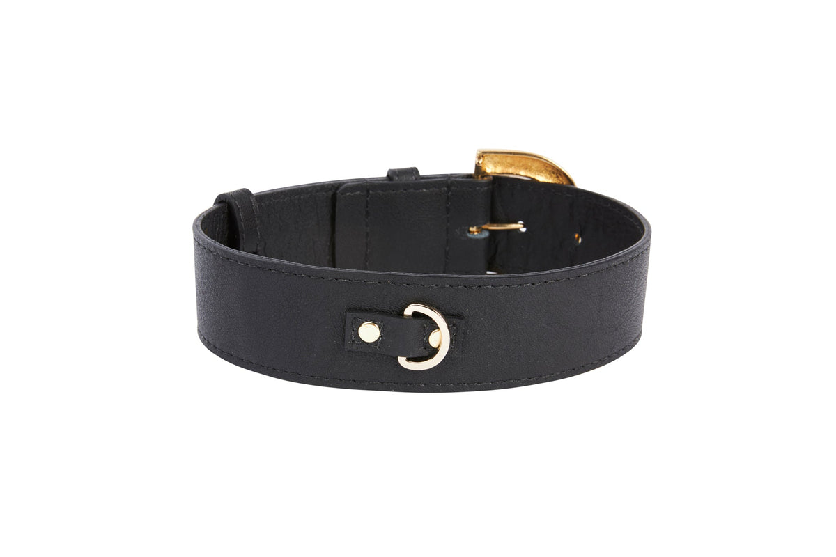 Allysa Payne Black Italian Leather Dog Collar With Glamorous Italian Hardware