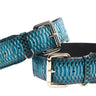 Turquoise, Black Snake Classic Collar With Silver & Gold Classic Hardware Set Of 2