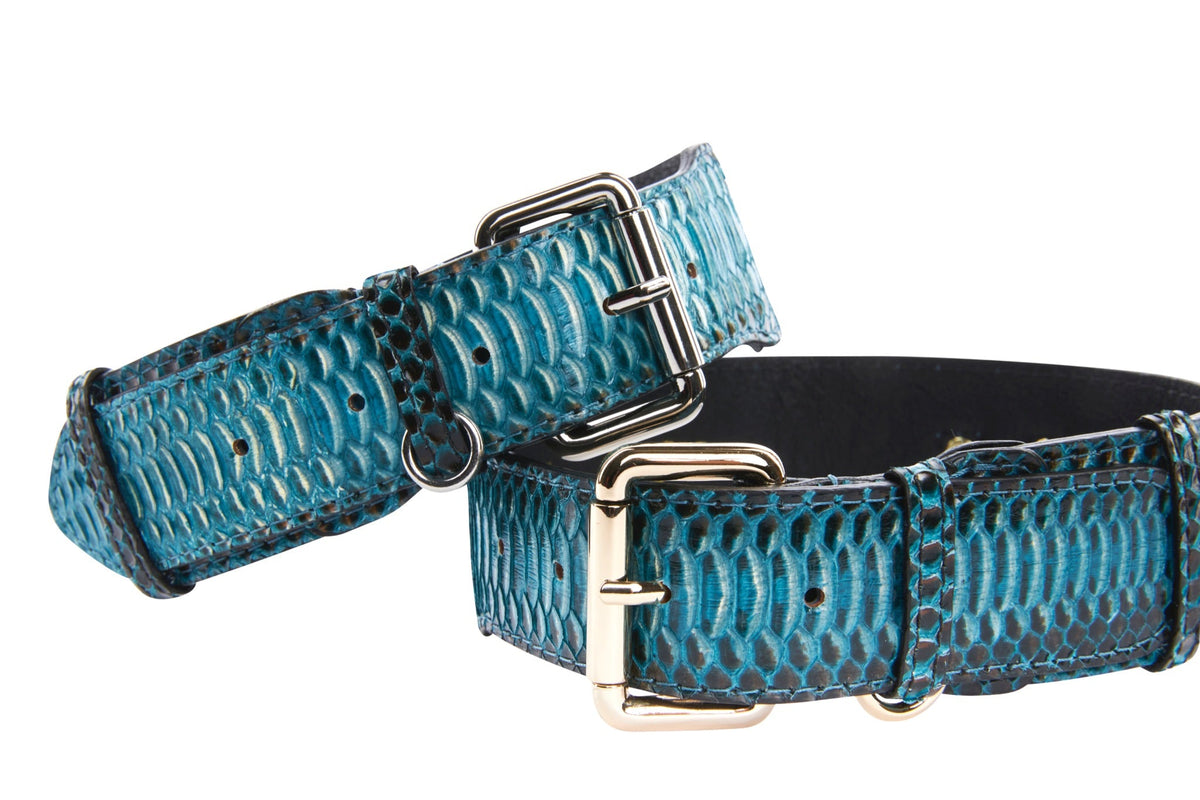 Allysa Payne Turquoise, Black Snake Classic Dog Collar With Silver & Gold Classic Hardware Set Of 2