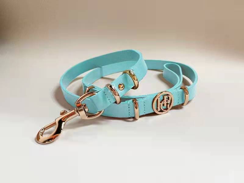 Leather Dog Lead (only) - Aquamarine