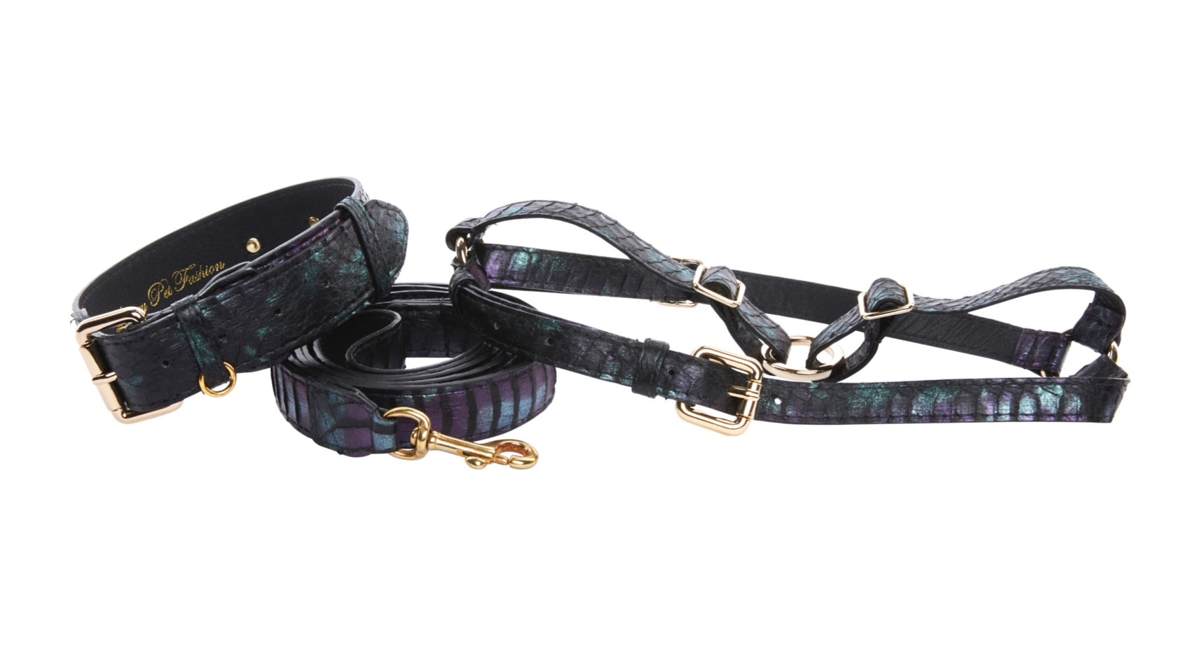 Allysa Payne Black, Green, Purple Snake Classic Dog Collar, Leash & Harness Set