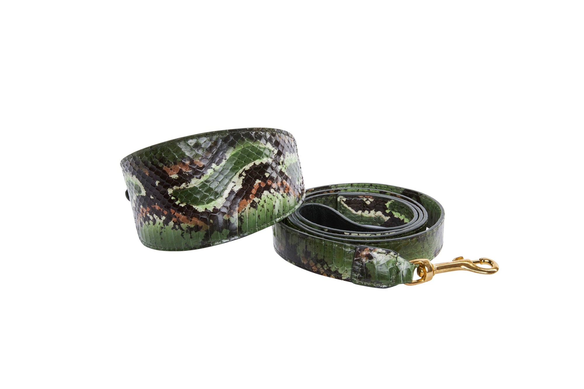 Allysa Payne Multi Color Green Snake 3-Inch Wide Style Dog Collar & Leash Set
