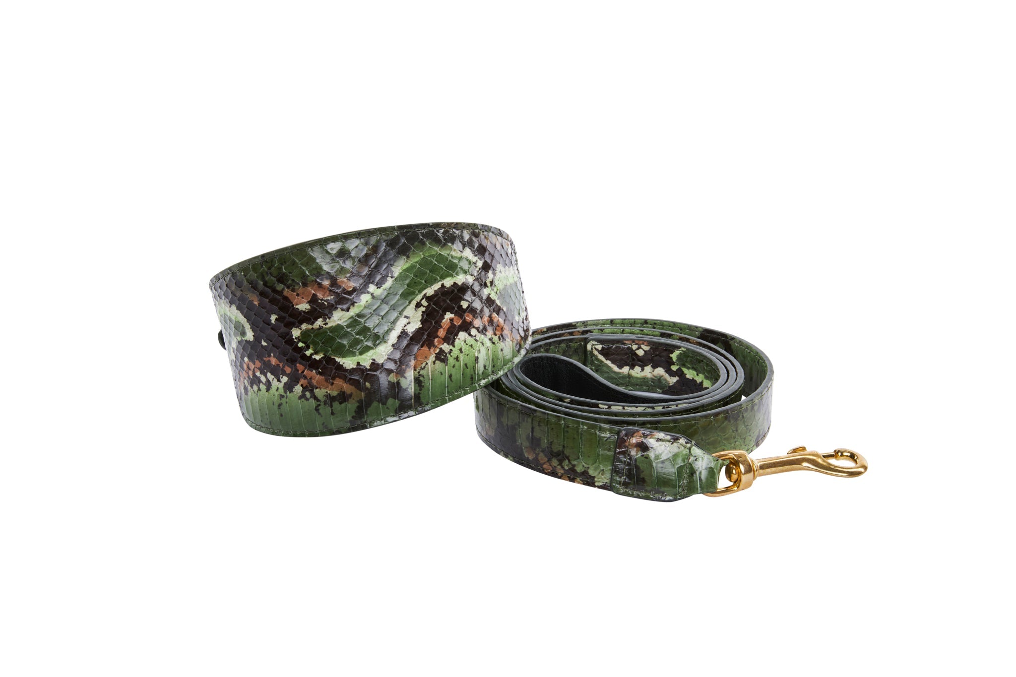 Multi Color Green Snake 3" Wide Style Collar & Leash Set