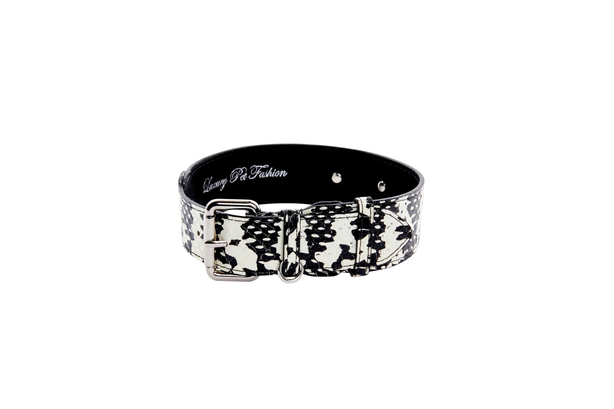 Allysa Payne Black & White Snake/Classic Dog Collar With Silver Hardware