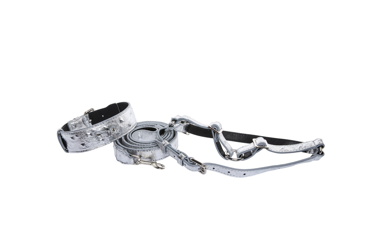 Allysa Payne Silver Studded Italian Leather Classic Dog Collar, Leash & Harness Set