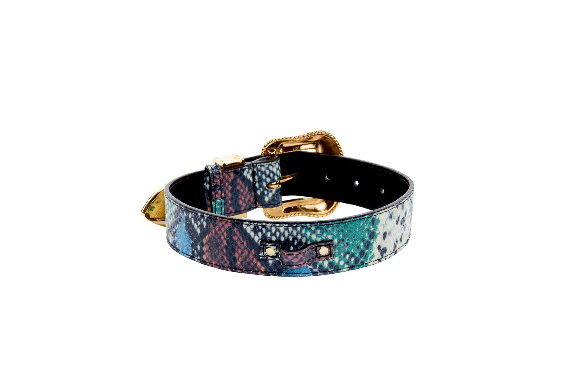 Allysa Payne Green, Blue, Black, Red Embossed Snake Italian Leather Dog Collar With Gold Swarovski Hardware