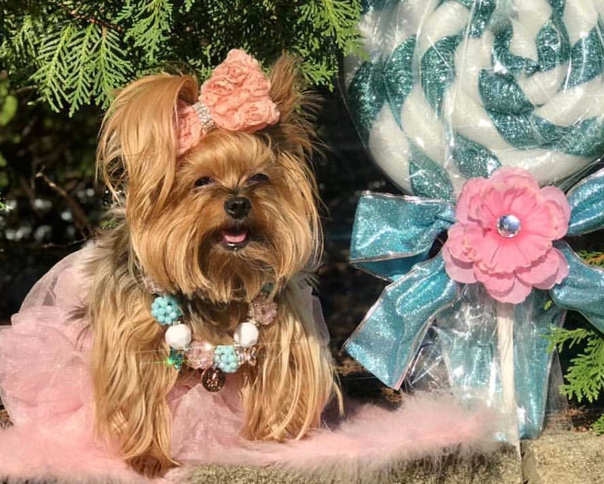 Necklace: Kotton Kandy