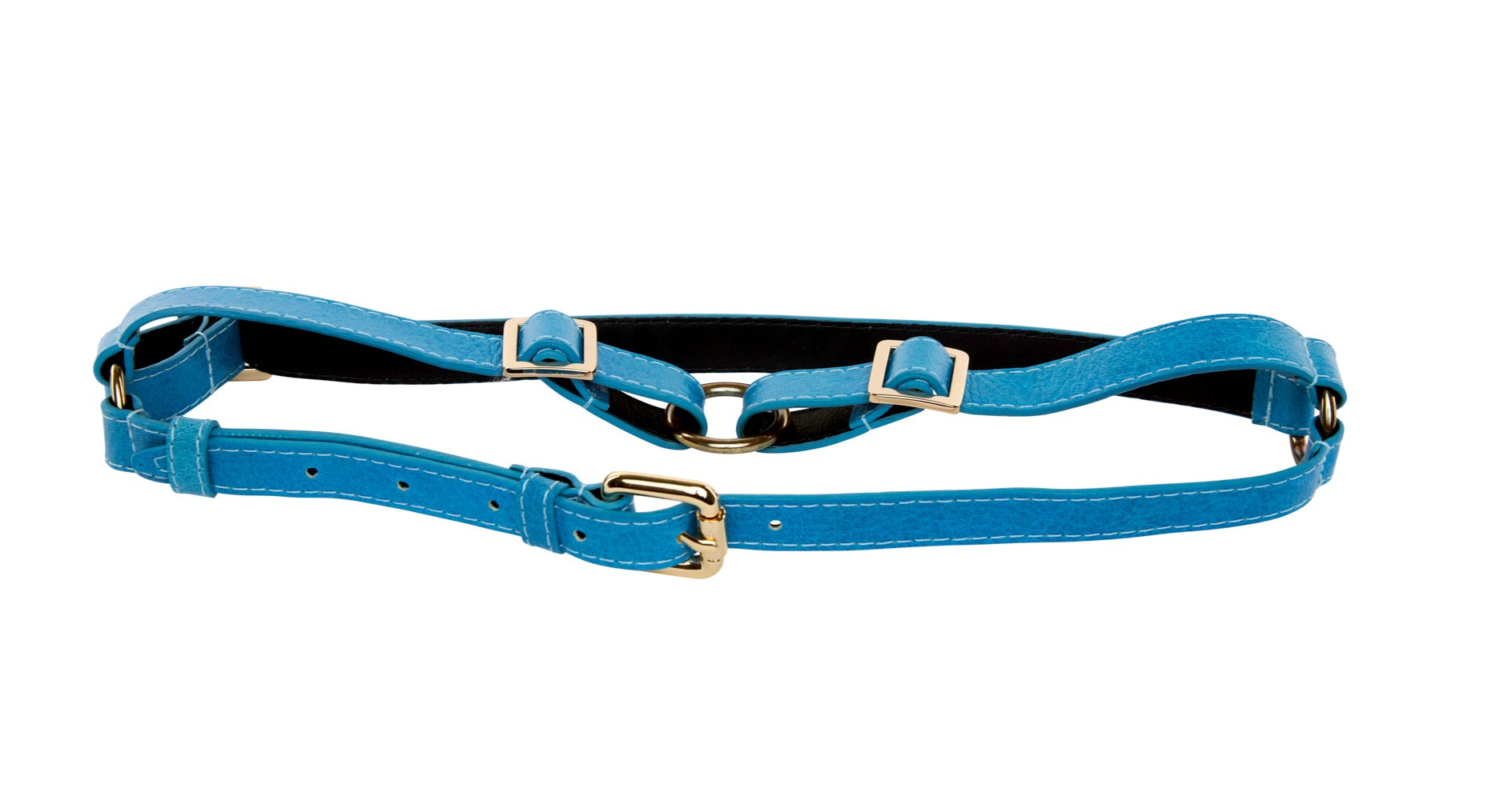 Allysa Payne Blue Vegetable Colored Italian Leather Dog Harness