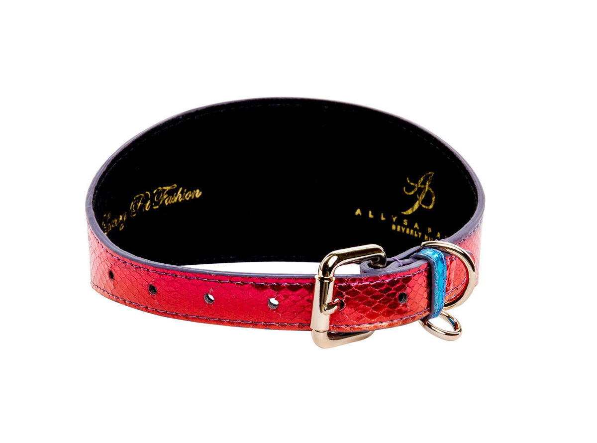 Allysa Payne Pride Collection. Rainbow Snake 3-Inch Wide Style Dog Collar