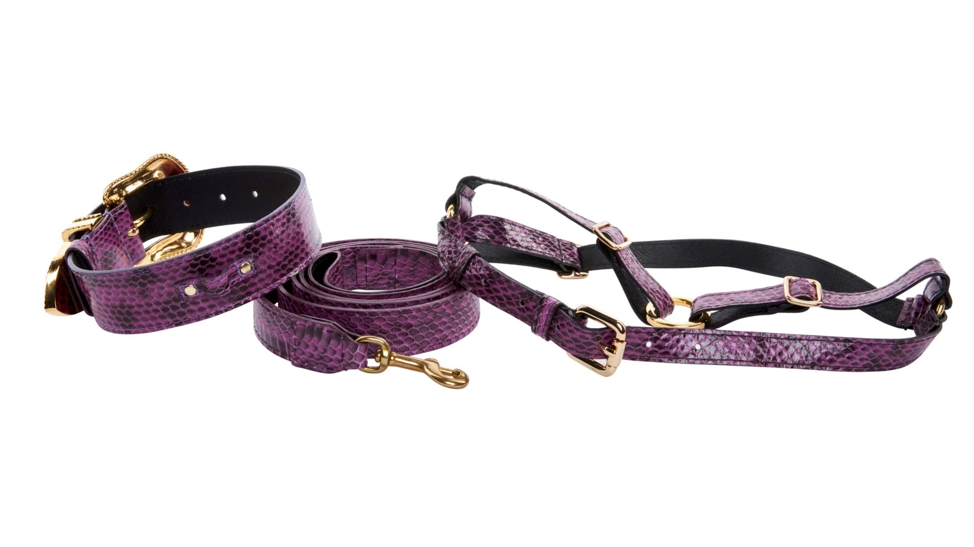 Purple & Black Viper Snake Swarovski Collar, Leash, Harness Set