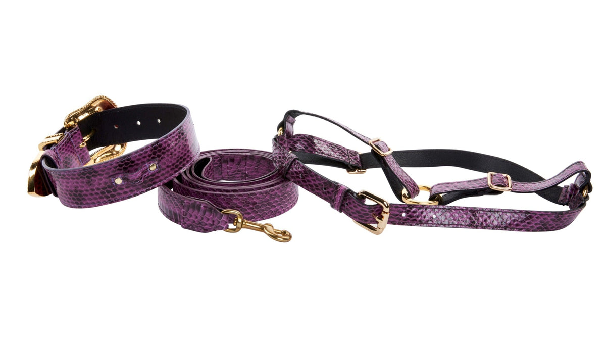 Allysa Payne Purple & Black Viper Snake Swarovski Dog Collar, Leash & Harness Set