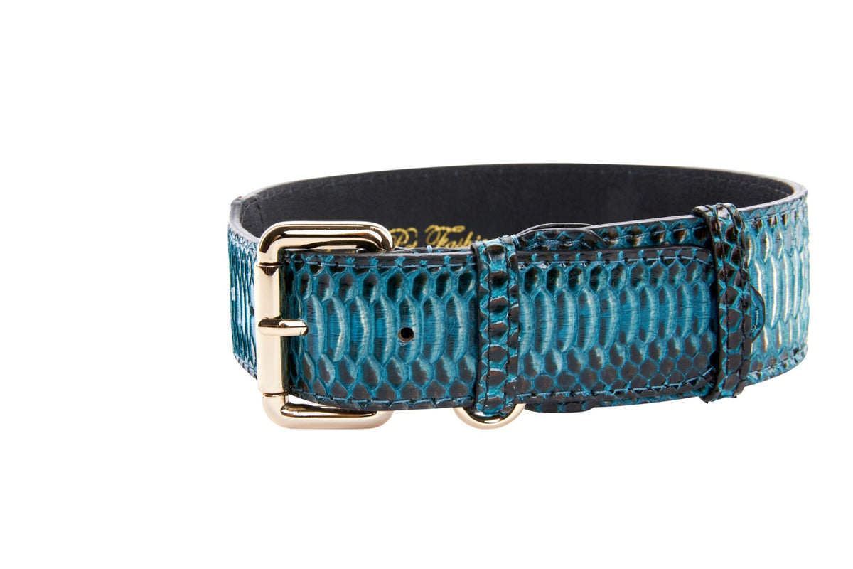 Allysa Payne Turquoise, Black Snake Classic Dog Collar With Silver & Gold Classic Hardware Set Of 2