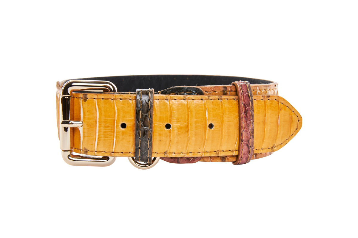 Allysa Payne Luxury Let Fashion Mustard Yellow Snakeskin With Classic Gold Hardware Dog Collar