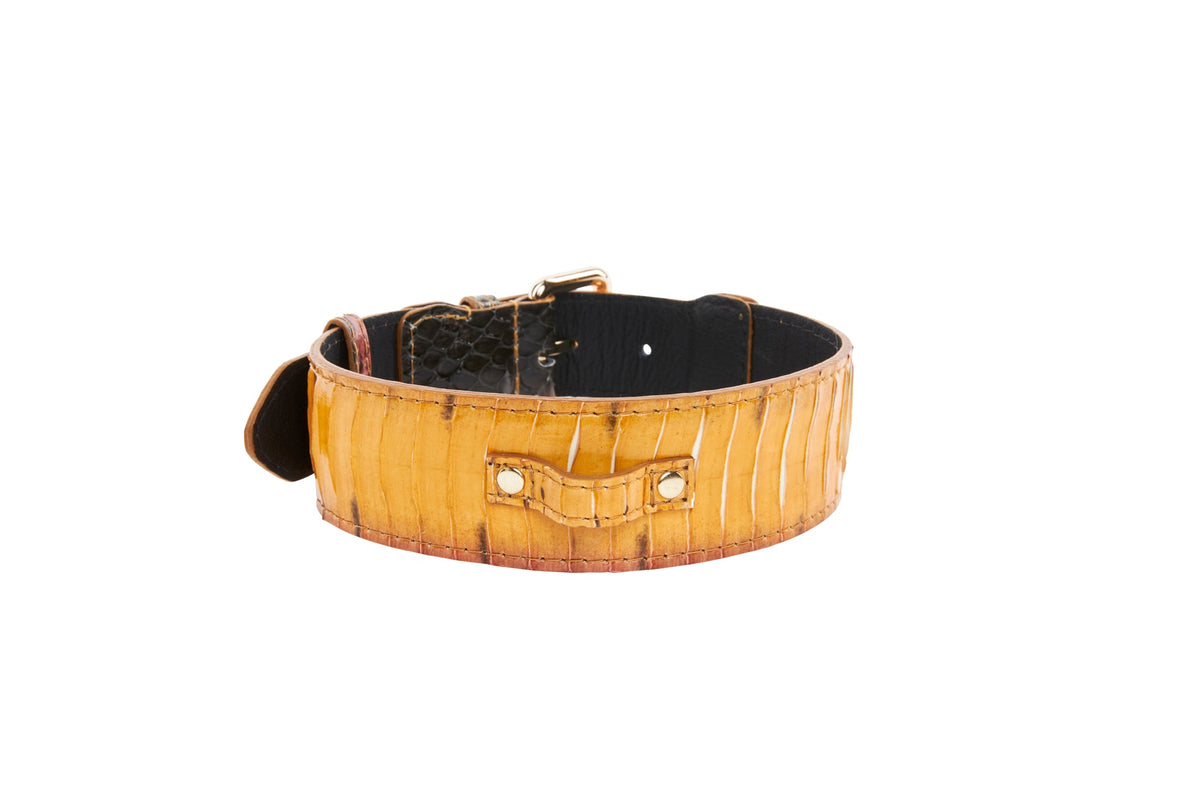 Allysa Payne Luxury Let Fashion Mustard Yellow Snakeskin With Classic Gold Hardware Dog Collar