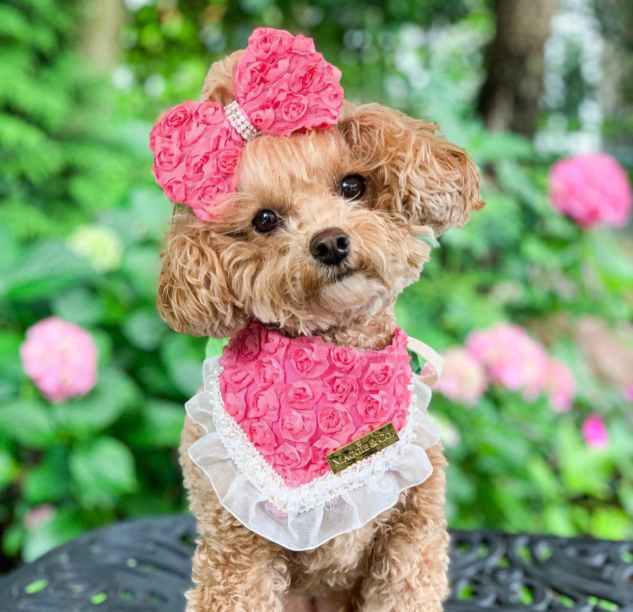 Forever Bliss: Miss Bailey