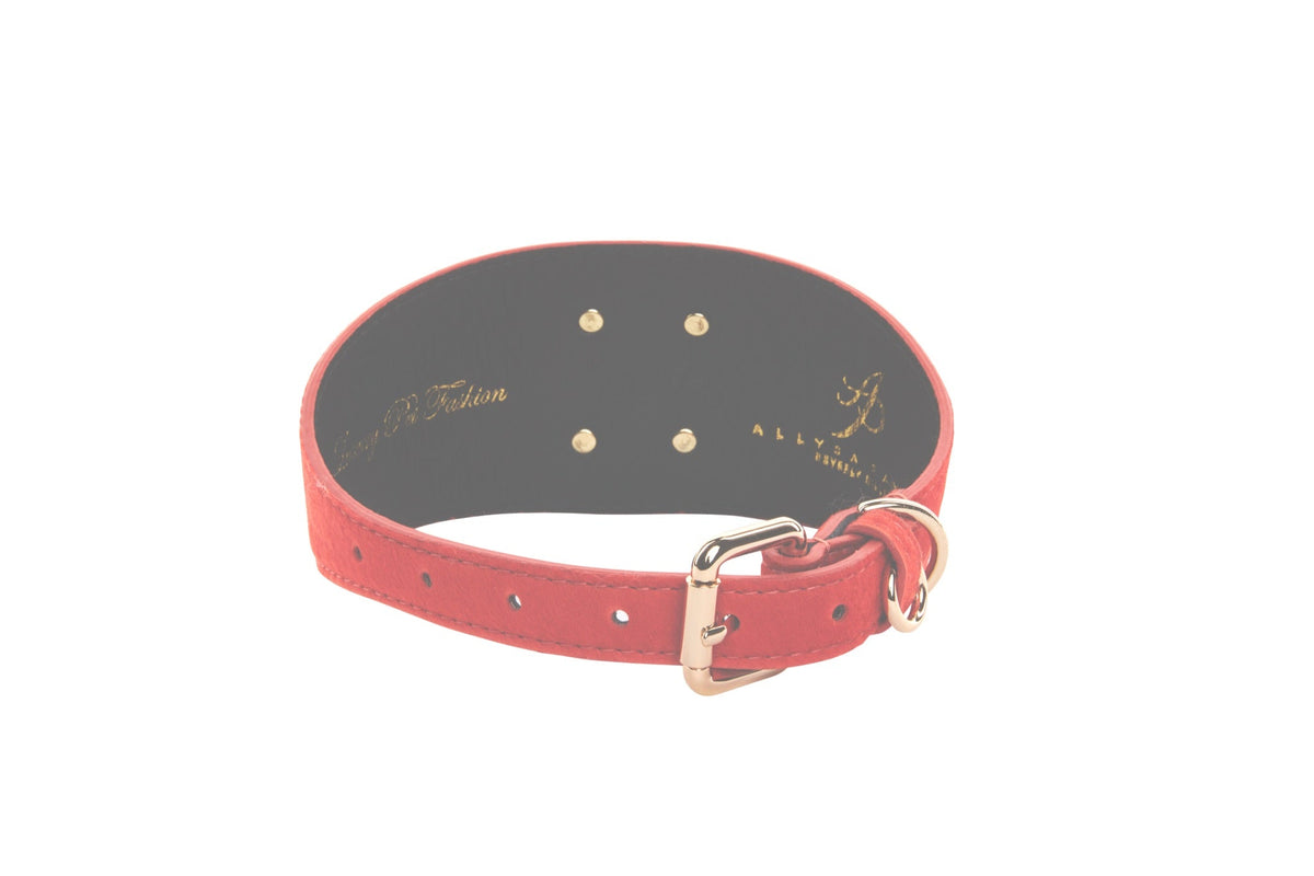 Allysa Payne Orange Hair On Hide Italian Leather With Our Large Gold Custom Rivet Dog Collar