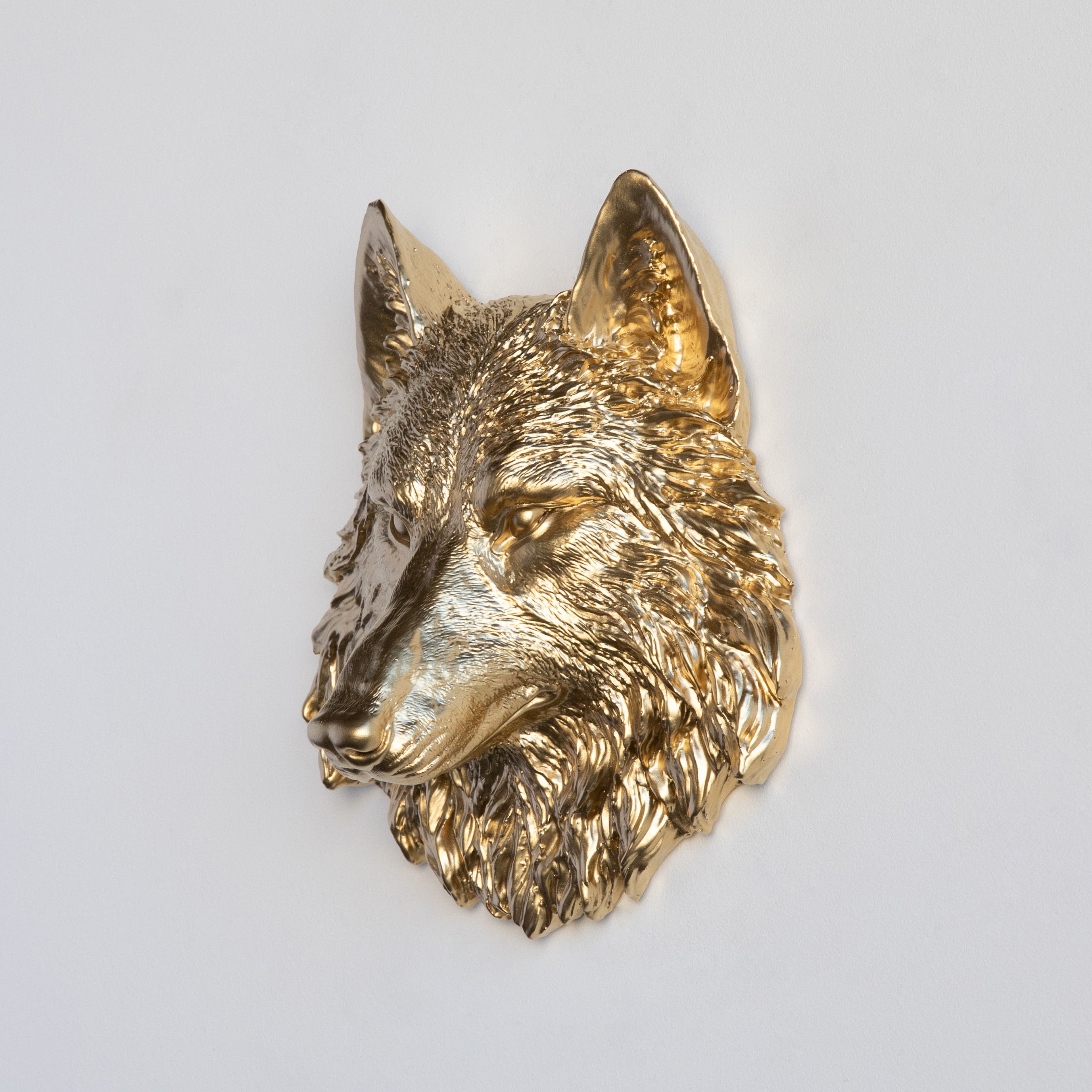 Faux Mini Wolf Head
