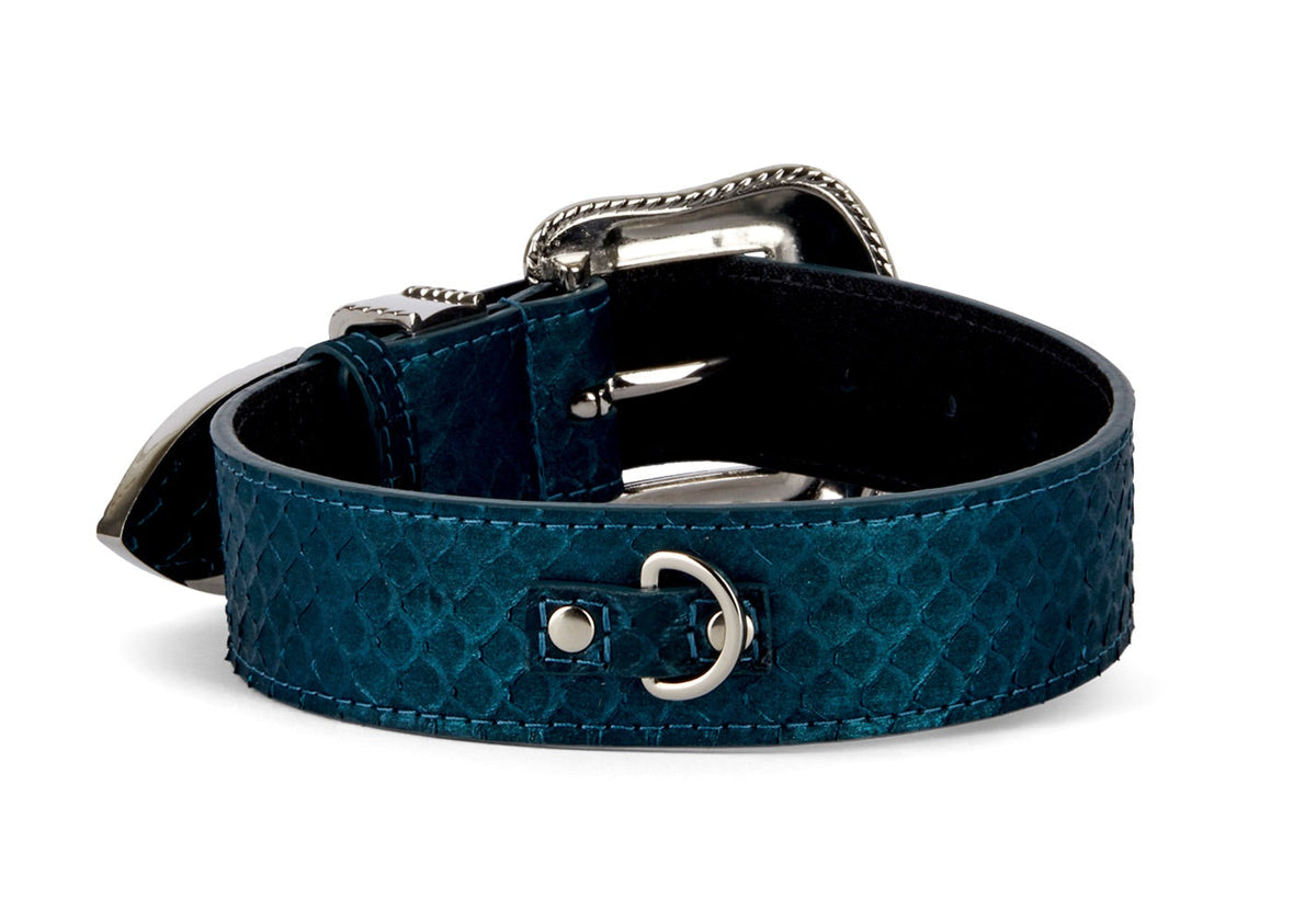 Allysa Payne Iridescent Matte Blue/Green Snake Blue Swarovski Crystal Hardware Dog Collar