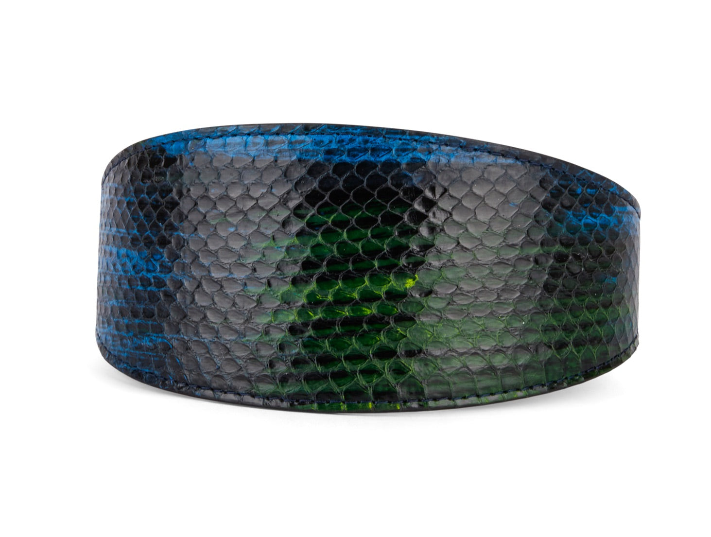 Allysa Payne Blue, Green, Black, Yellow Snake 3-Inch Wide Style Dog Collar