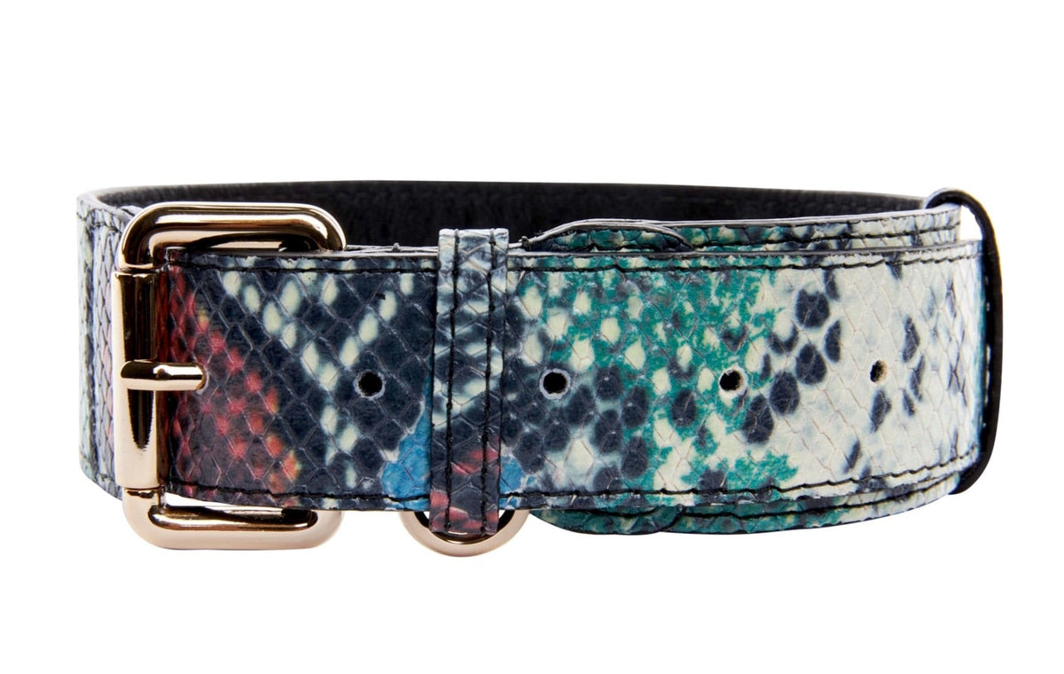 Allysa Payne Green, Blue, Black, Red Embossed Snake Italian Leather Dog Collar With Gold Classic Hardware