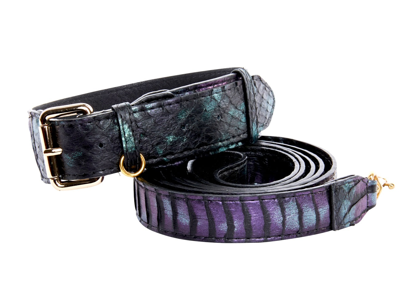 Allysa Payne Black, Green, Purple Snake Classic Dog Collar & Leash Set