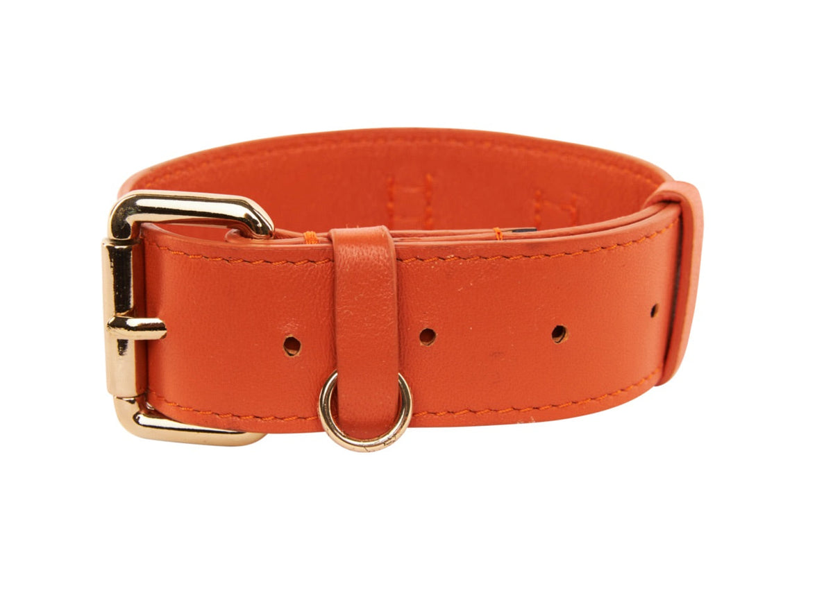 Allysa Payne Small Orange Italian Leather Classic Dog Collar