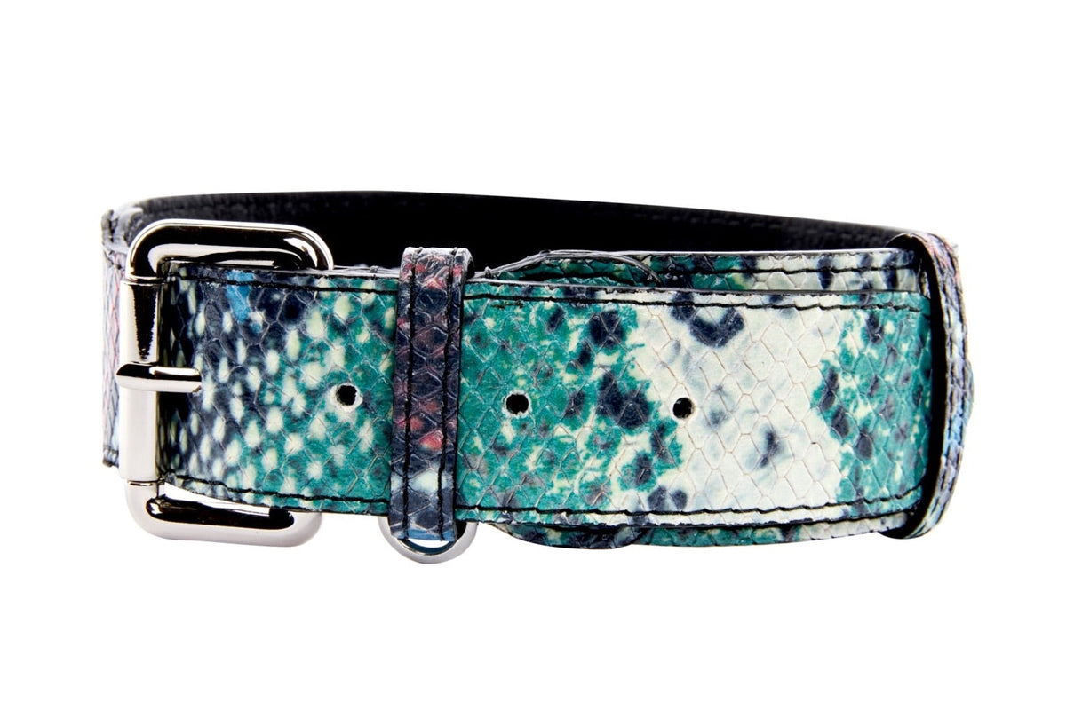 Allysa Payne Green, Blue, Black, Red Embossed Snake Italian Leather Dog Collar With Gold Classic Hardware