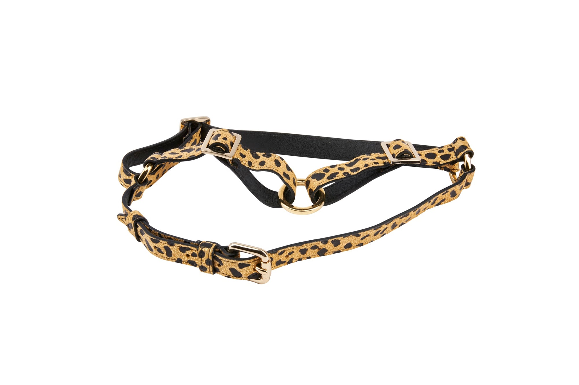 Allysa Payne Leopard Print Italian Leather Dog Harness