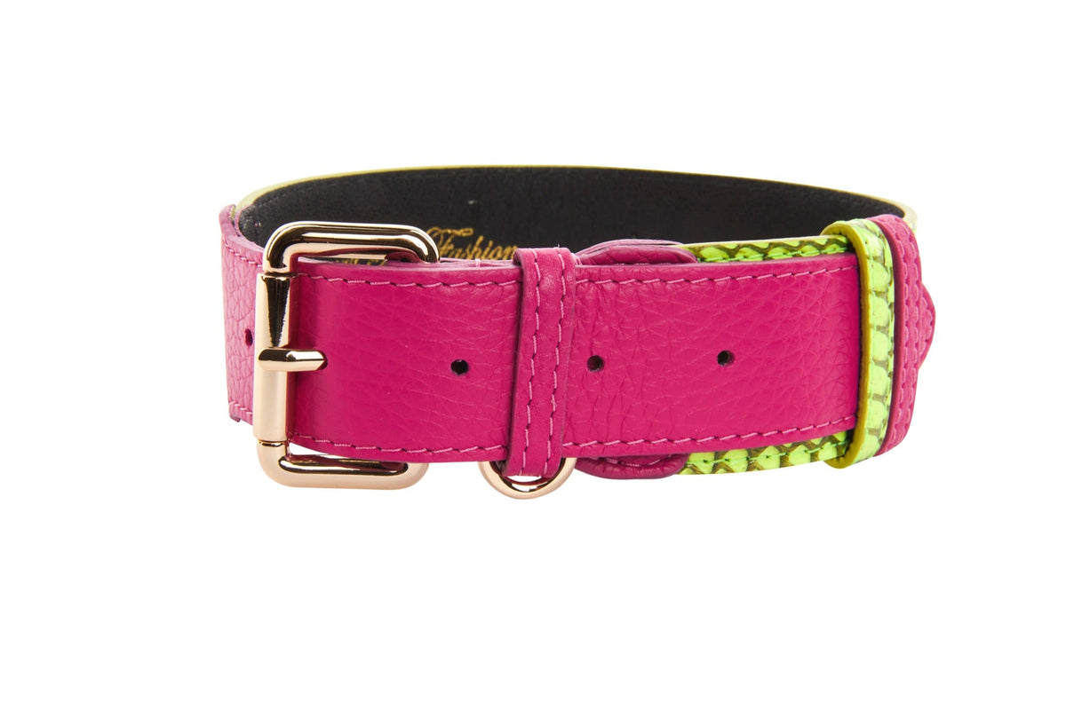 Allysa Payne Neon Green Snake With Fuchsia Pink Italian Leather With Gold Classic Hardware Dog Collar