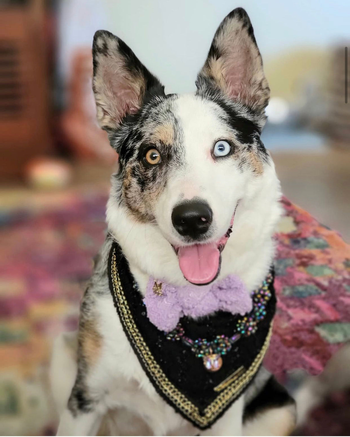 Coco Runway: Dur Cuire Bandana