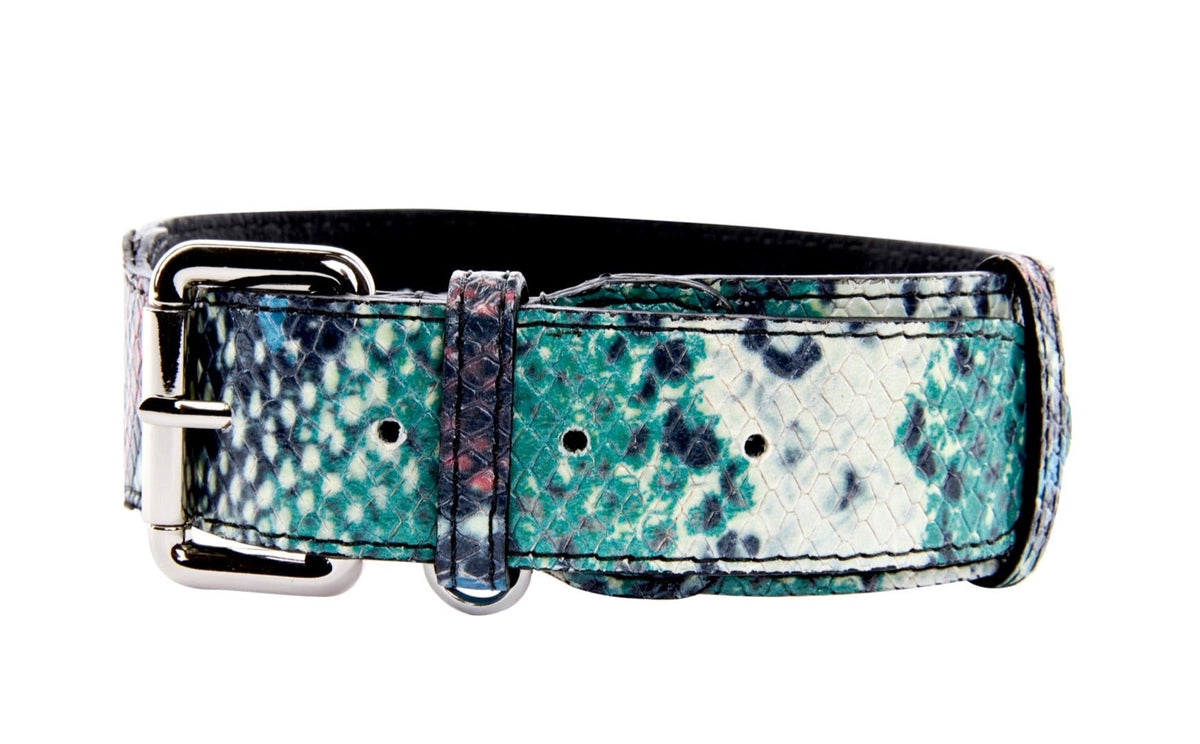 Allysa Payne Green, Blue, Black, Red Embossed Snake Italian Leather Dog Collar With Gold Classic Hardware