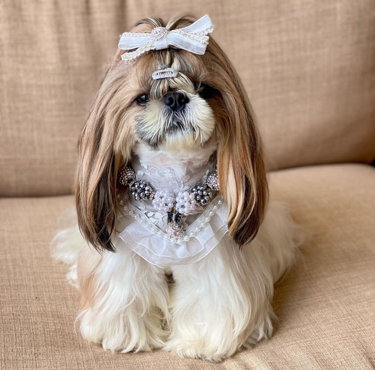 Romance Collection: Forever