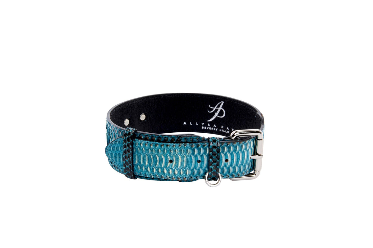 Allysa Payne Turquoise, Black Snake Classic Dog Collar With Silver Classic Hardware
